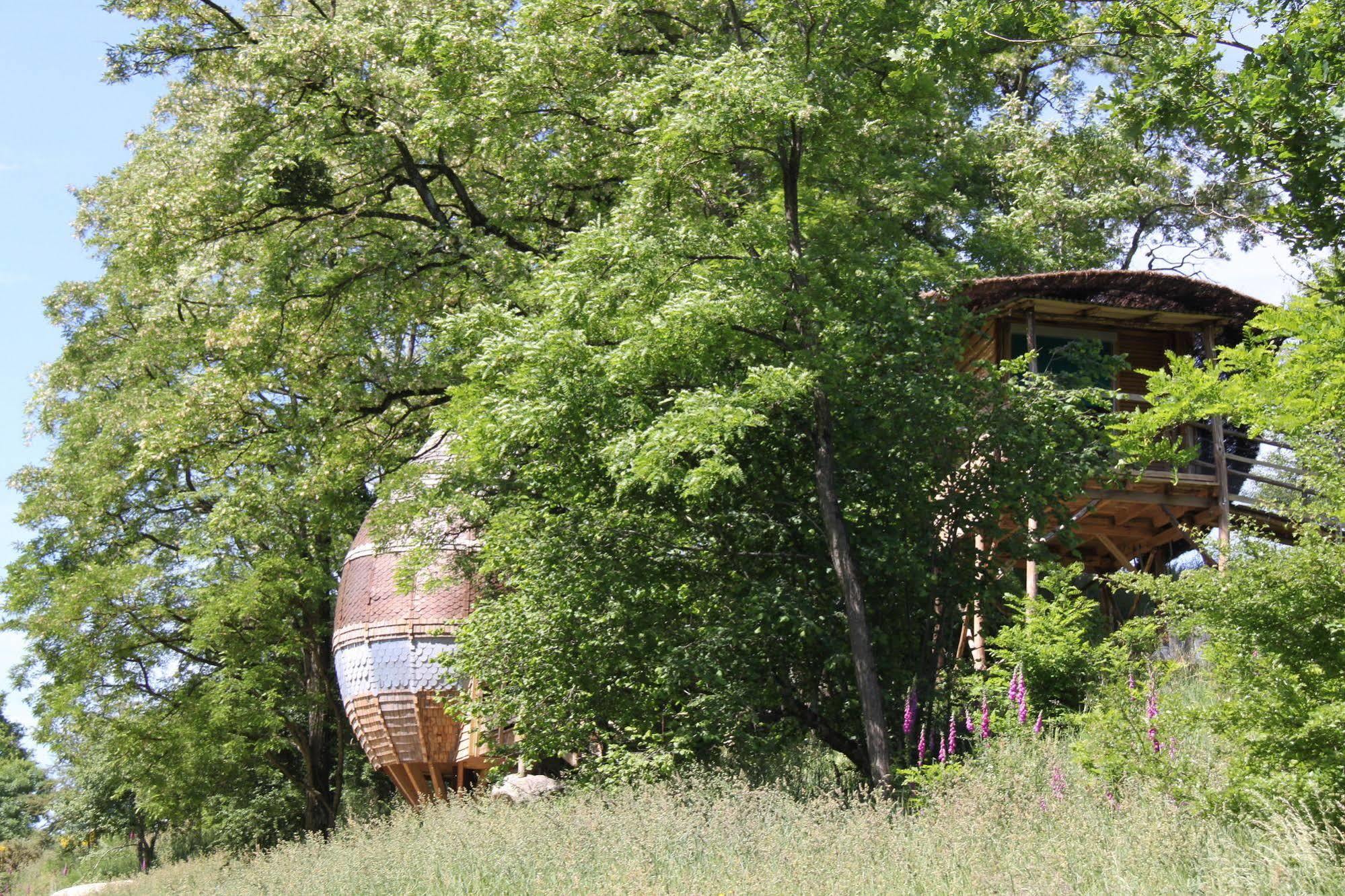 Terragora Lodges - Hebergement Atypique Les Epesses Exterior photo
